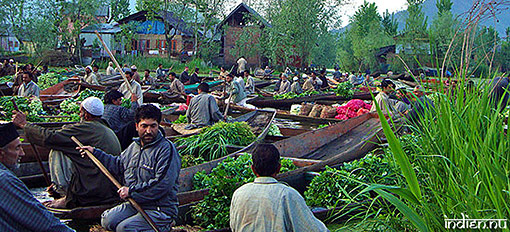 Grönsaksmarknad på Dal-lake