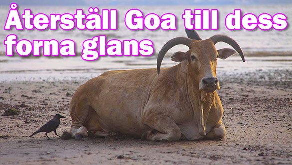 Turistministern: Goa borde återställas till sin tidigare glans