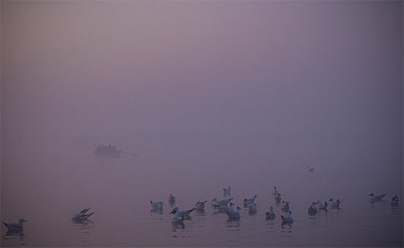 Tidig morgon på våtmarken i Indien