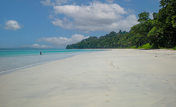 Strand, Havelock, Andamanöarna, Indien