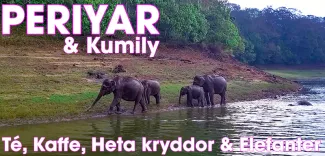 Periyar Wildlife Sanctuary & Kumily, Kerala, Indien