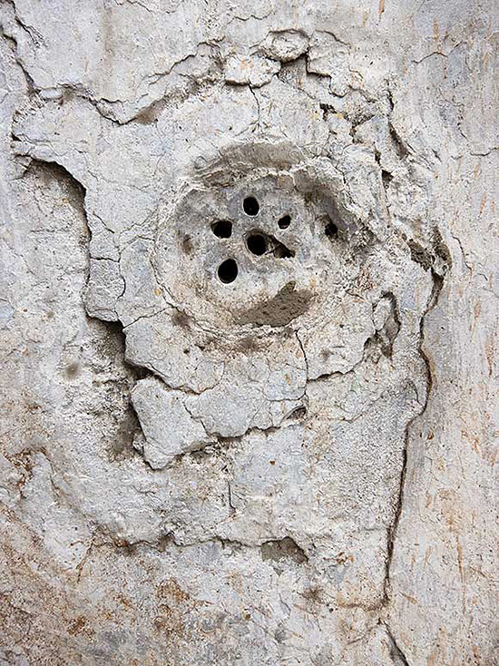 Nobody's Art av Reg Fallah