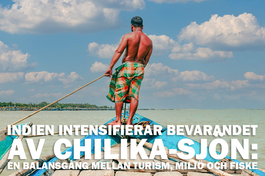 Indien intensifierar bevarandet av Chilika-sjön: En balansgång mellan turism, miljö och fiske