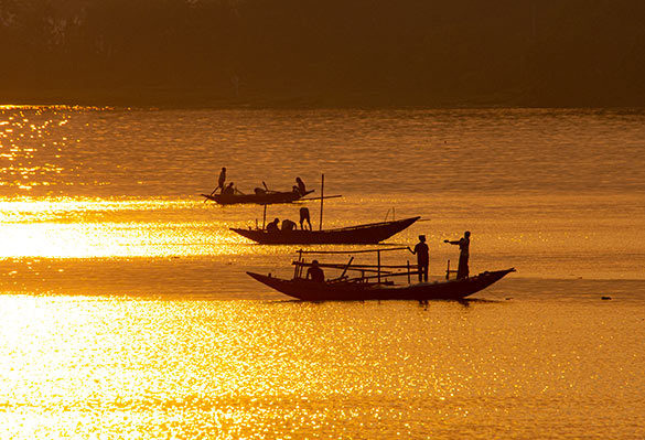 Fiske i Indien Fiske i Indien