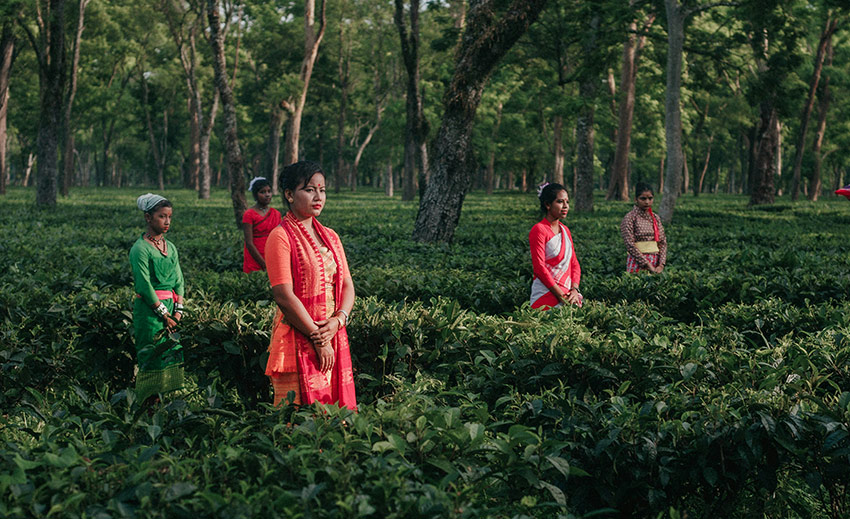 Nordöstra Indien: eco-luxury och ”last-chance tourism”