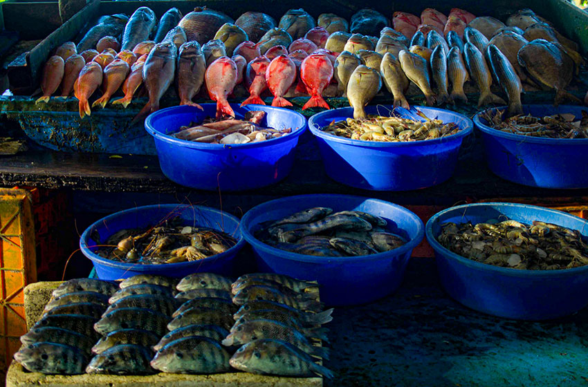 Fisk och räkor, Kerala