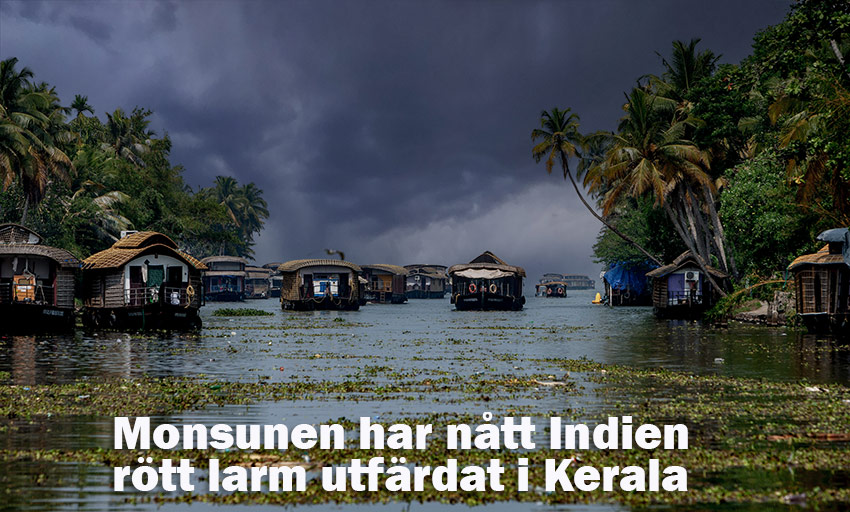 Monsunen har nått Indien – rött larm utfärdat i Kerala