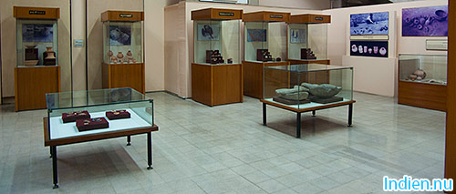 Museum i Chandigarh