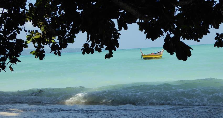 Andamanerna 2015/2016