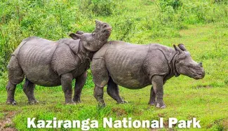 Kaziranga Nationalpark