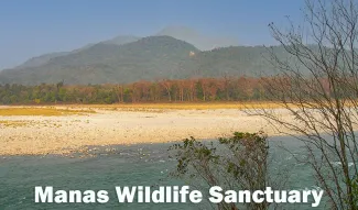 Manas Wildlife Sanctuary