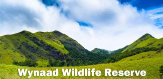 Wynaad Wildlife Reserve