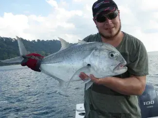 Andamanerna 2015/2016