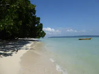 Andamanerna 2015/2016