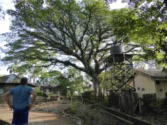 Andamanerna 2015/2016