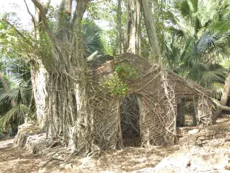 Andamanerna 2015/2016