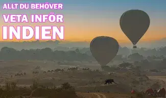Allt du behöver veta inför din resa till Indien Allt du behöver veta inför din resa till Indien