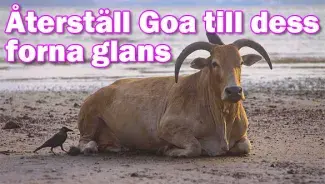 Turistministern: Goa borde återställas till sin tidigare glans