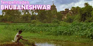 Tempelstaden Bhubaneswar, Odisha, Indien