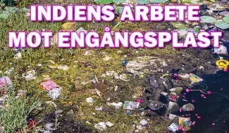 Indiens arbete för att minska landets plastavfall