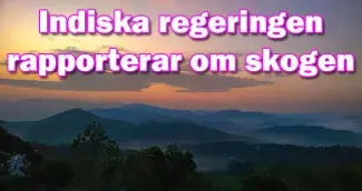 Indien strävar efter en tredjedels skogsyta