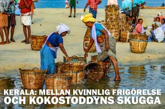 Kerala: Mellan kvinnlig frigörelse och kokostoddyns skugga