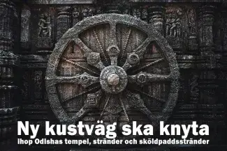 Ny kustväg ska knyta ihop Odishas tempel, stränder och sköldpaddsstränder