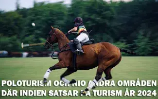 Indien satsar på tio olika typer av turister