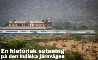 Snabbtåg som susar förbi kamelmarknaden i Pushkar. Bild: Henric Carlsson / Indien.nu