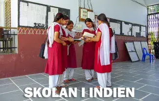 Indiens skolsystem