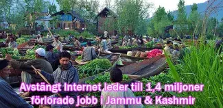 Förlorade jobb i Kashmir