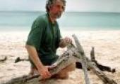 Profile picture for user survivor