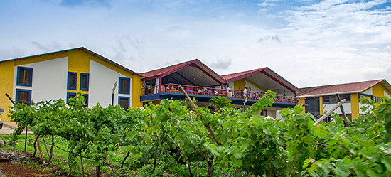 Sula Wineyard