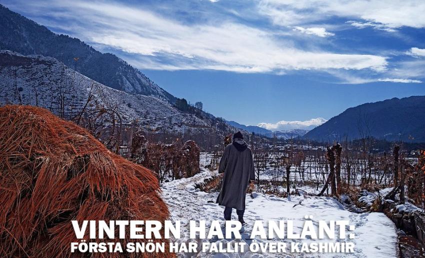 Vintern har anlänt: Första snön har fallit över Kashmir